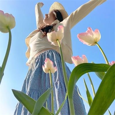 苦茶香